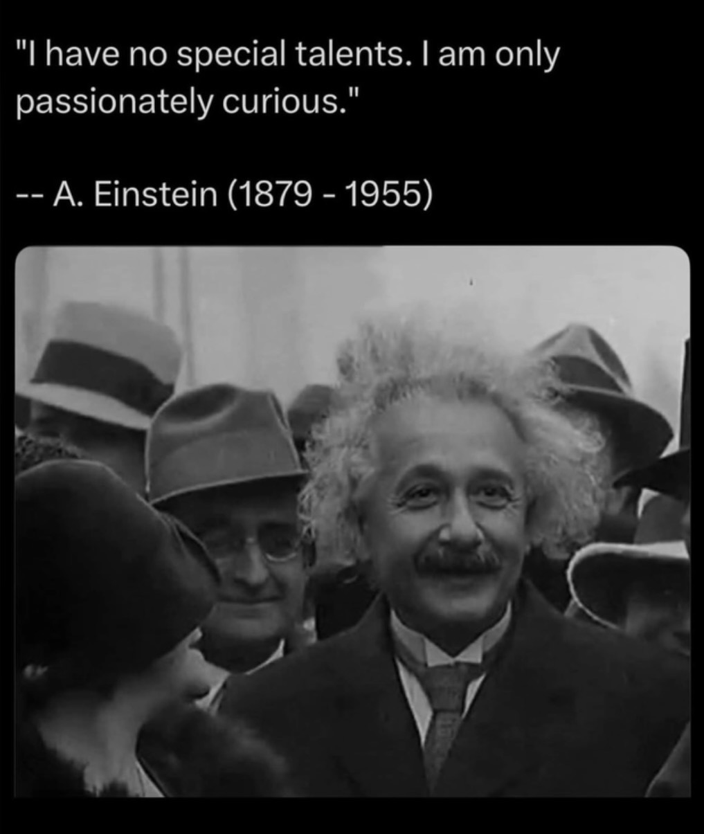 Albert Einstein quote: I have no special talents. I am only passionately curious.
